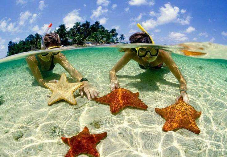 Snorkelers with starfish in clear water in the San Blas Islands